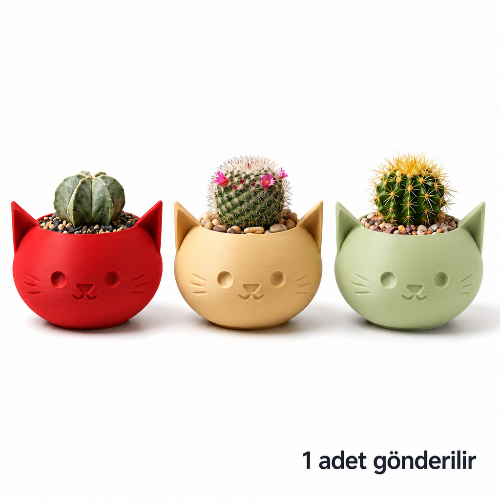 Kedi yüzlü saksı seçenekleri; 1 adet gönderilir